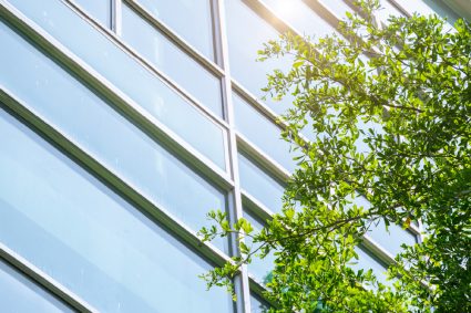 Net Zero Energy Buildings: The Future of Building Design?