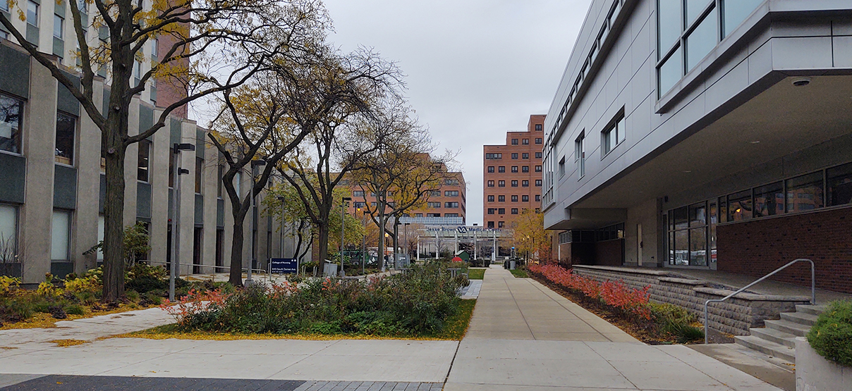 University of Illinois-Chicago Arthington Plaza Improvements