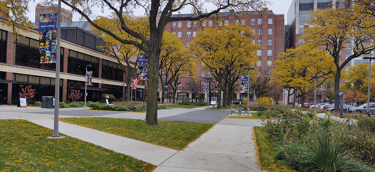 University of Illinois-Chicago Arthington Plaza Improvements