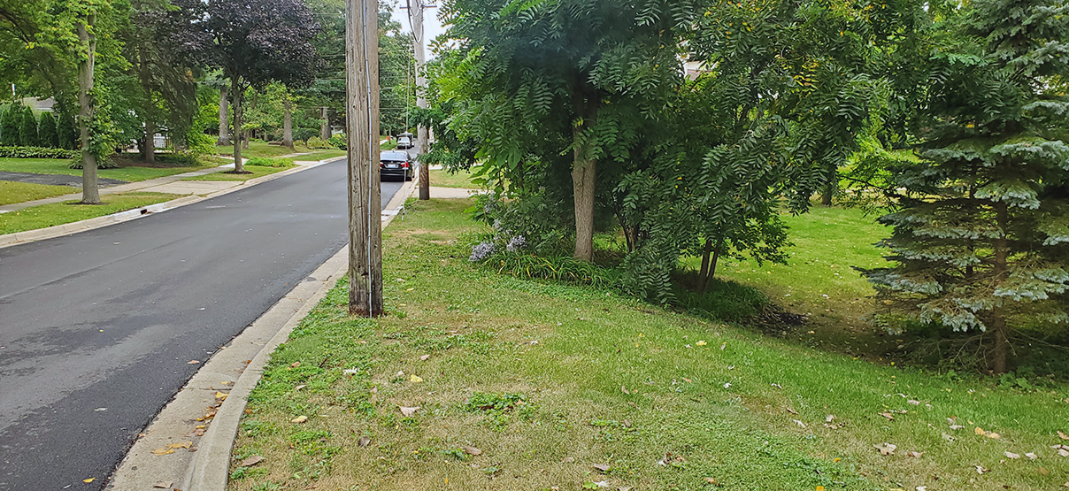 Crescent Boulevard Roadway Improvement