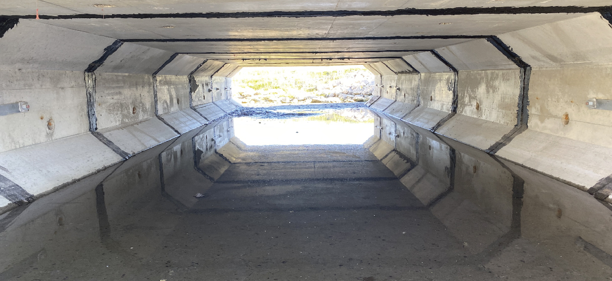 Harter Road Culvert Replacement: Phase I and II