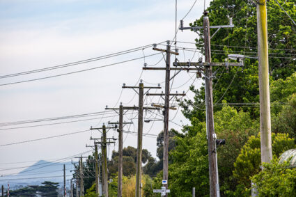 Customers Experiencing Multiple Interruptions (CEMI) Program